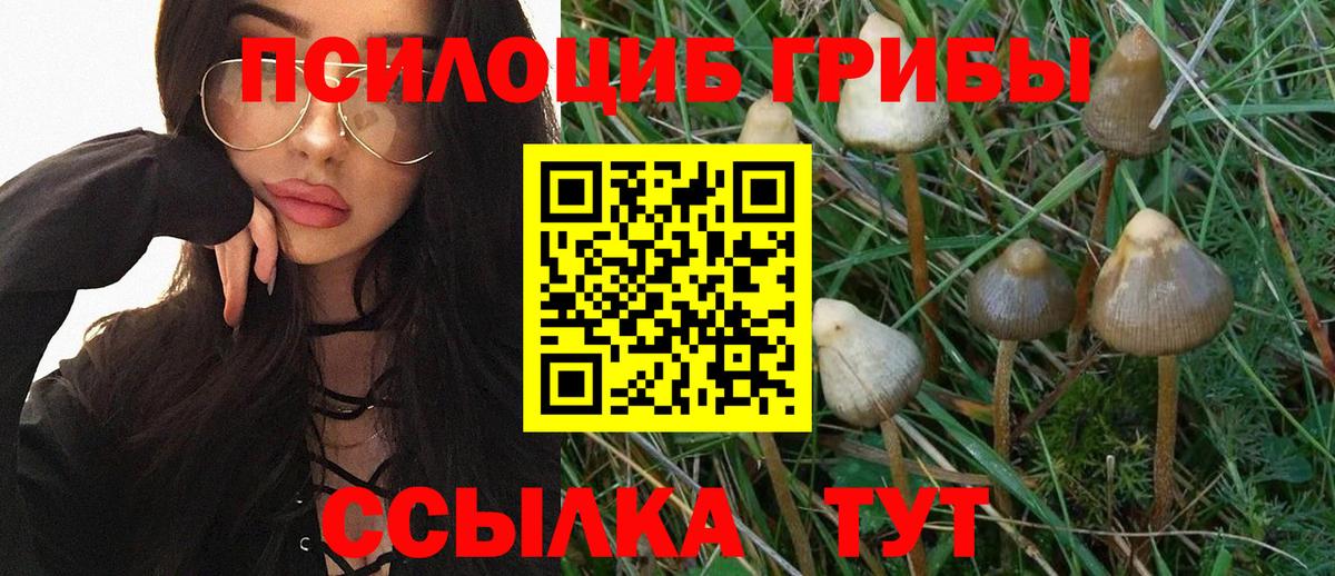 Псилоцибиновые грибы мицелий Пыть-Ях