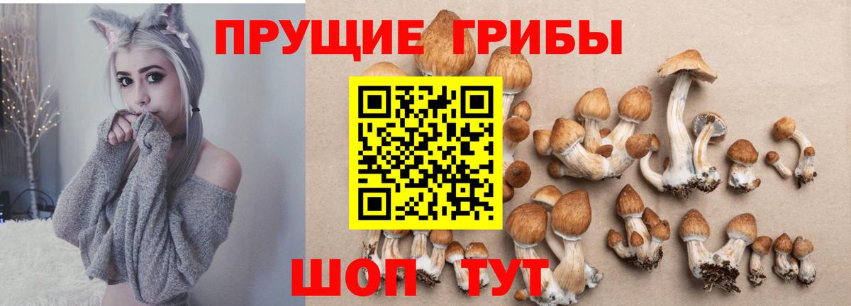 Галлюциногенные грибы Magic Shrooms  Псилоцибиновые грибы мухоморы  Вход с VPN  Пыть-Ях 